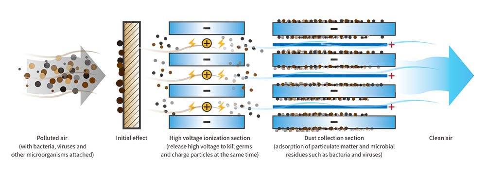 electrostatic filter for air purification