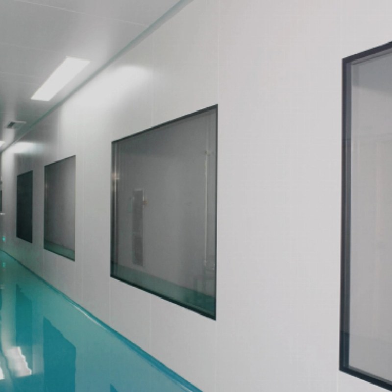 cleanroom window