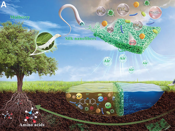Technology Frontier | Silk Nanofiber Aerogel: Starting a Green Revolution in Air Filtration Materials