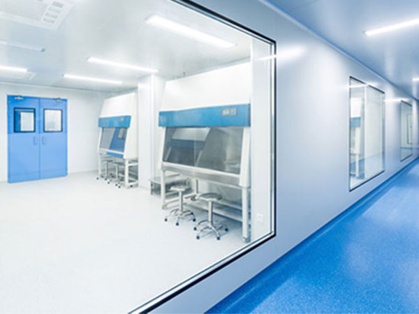 What purification equipment needs to be installed in the clean room