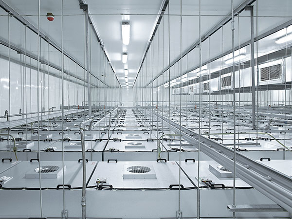 Fan Filter Unit vs HEPA Filter Box: Which Terminal Filtration Solution Is Right for Your Cleanroom?