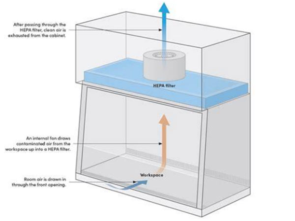 KLC's Biosafety Cabinet