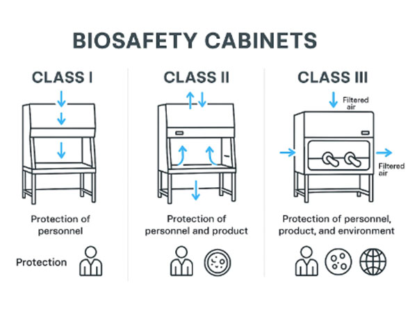 KLC's Biosafety Cabinet